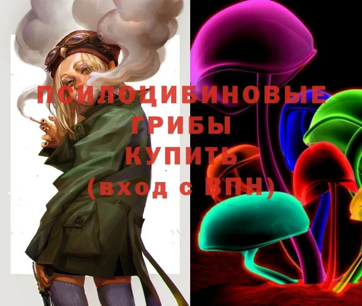 Галлюциногенные грибы Psilocybe  купить  цена  Баймак 